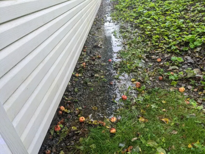 Common Drainage Issues in Marshville Properties and Their Solutions