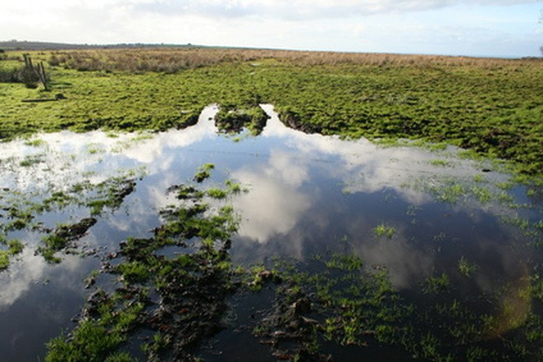 How to Protect Water Tables During Land Clearing in Marshville