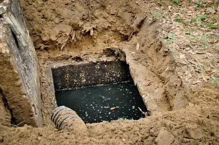 What Are the Signs That Your Septic Tank Is Full?