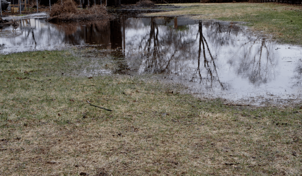 Can Heavy Rain Cause Septic System Problems