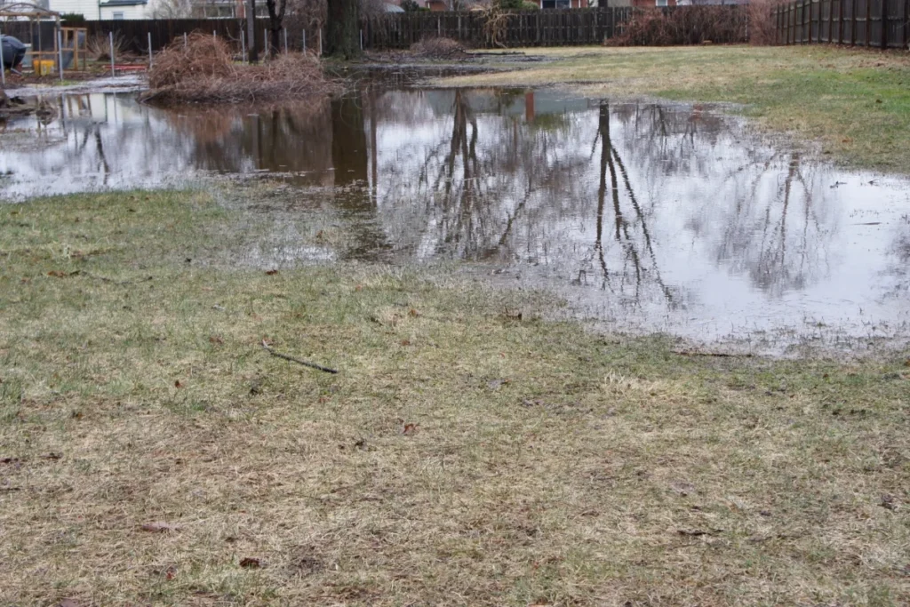 Can a Flooded Septic System Fix Itself Over Time