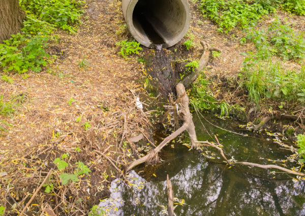 How to Tell If Your Septic Tank Is Leaking