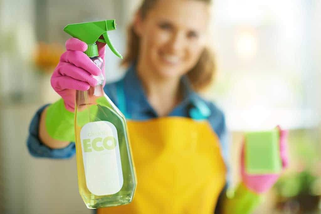 What Cleaning Products Are Safe for Septic