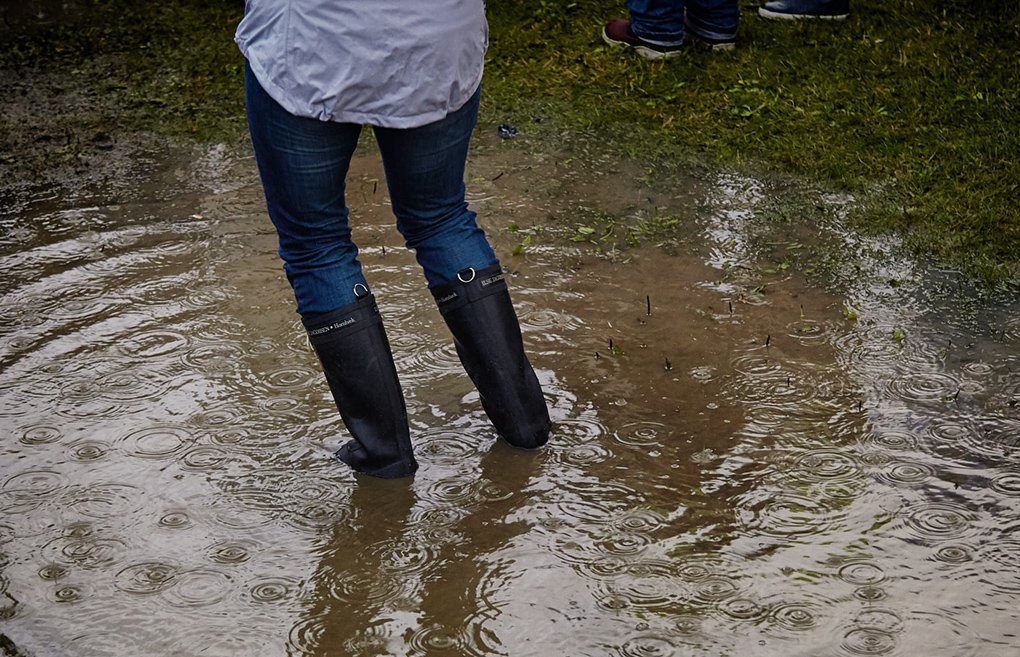 What to Do When Your Septic System Backs Up